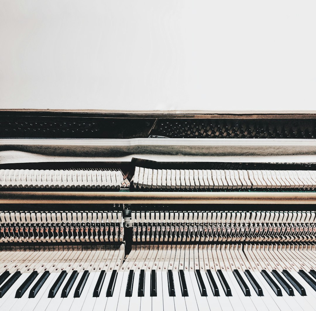 Analogue Synthesisers